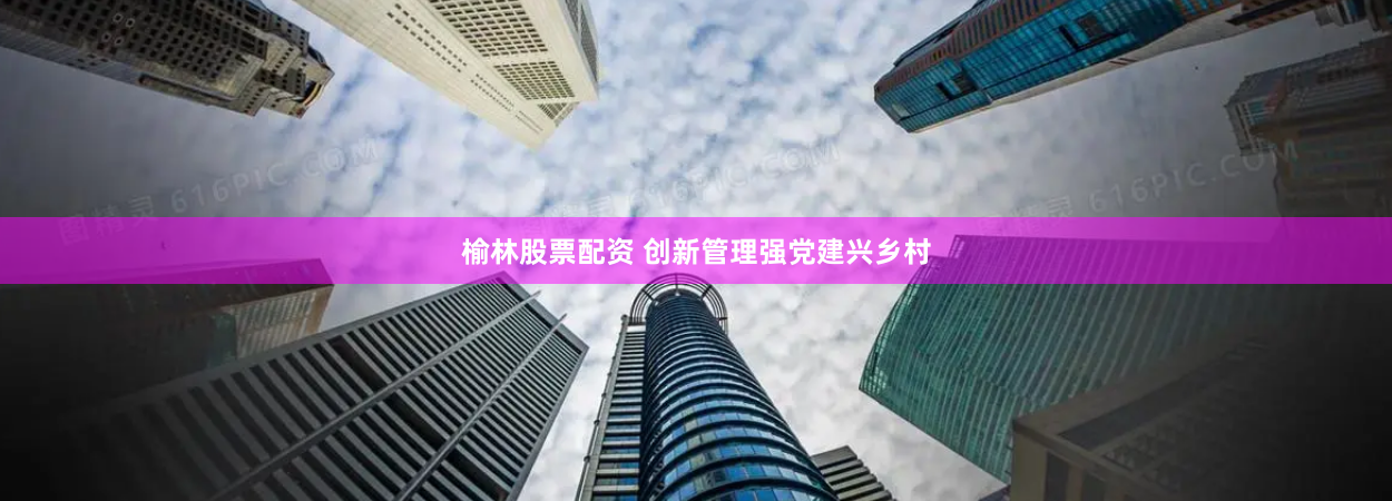 榆林股票配资 创新管理强党建兴乡村