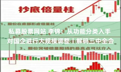 私募股票网站 李锦：从功能分类入手 对国企进行大规模调整丨解码三中全会