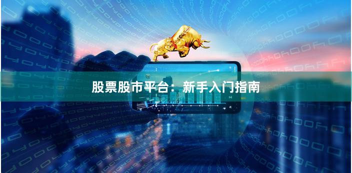 股票股市平台：新手入门指南