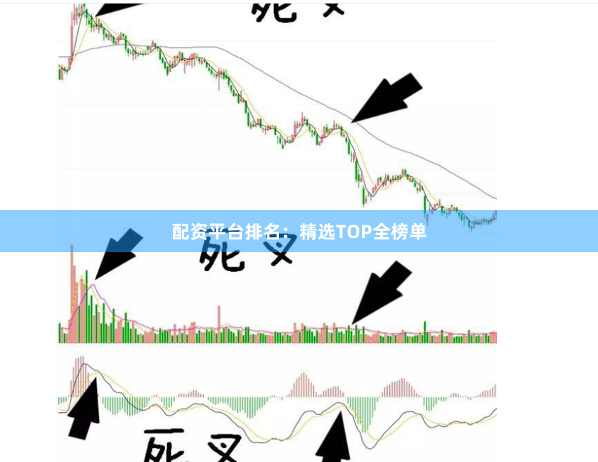 配资平台排名：精选TOP全榜单